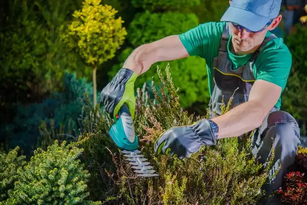 landscaping services Pine Lawn